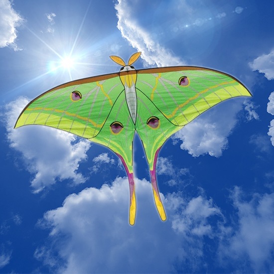 Things To Do Kitty Hawk Kites